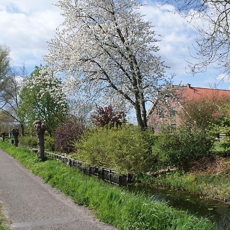 Gastenverblijf De Natureluur Noorden Kültér fotó