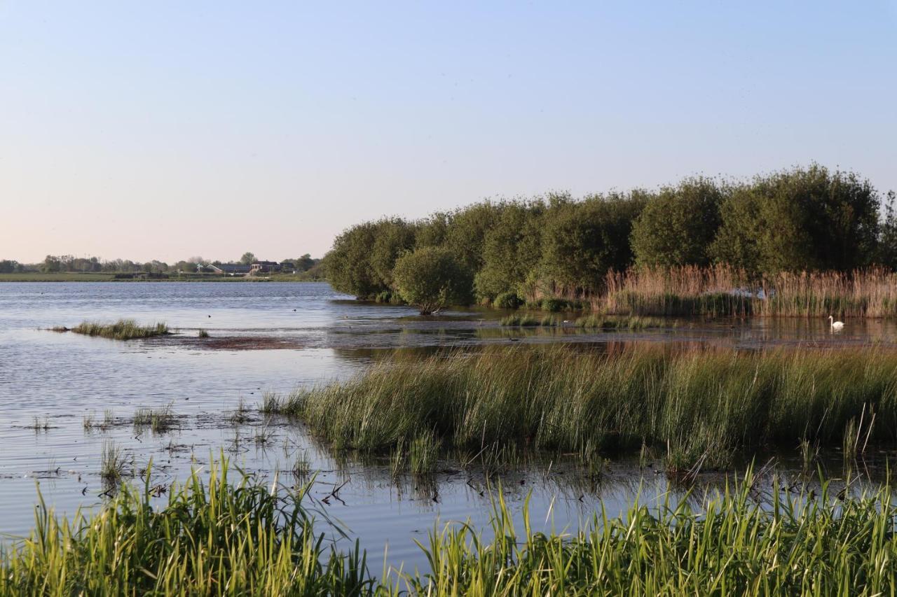 Gastenverblijf De Natureluur Noorden Kültér fotó