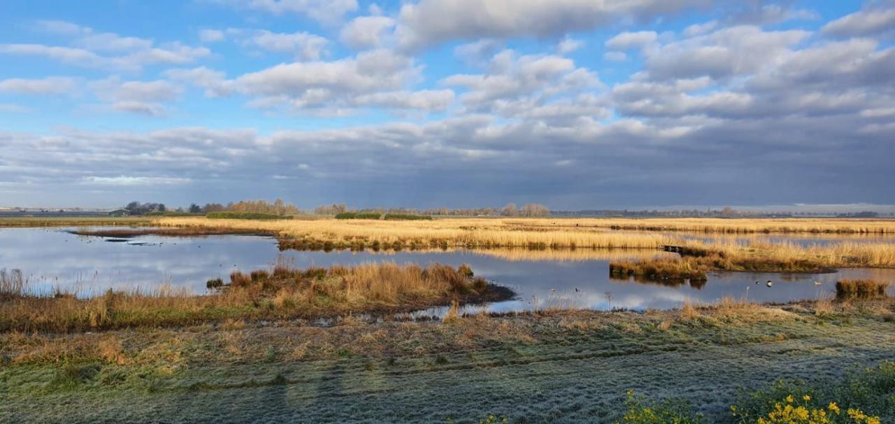 Gastenverblijf De Natureluur Noorden Kültér fotó