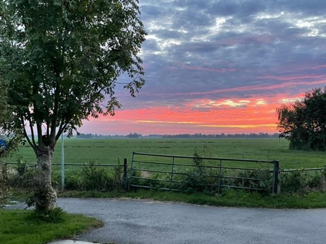 Gastenverblijf De Natureluur Noorden Kültér fotó