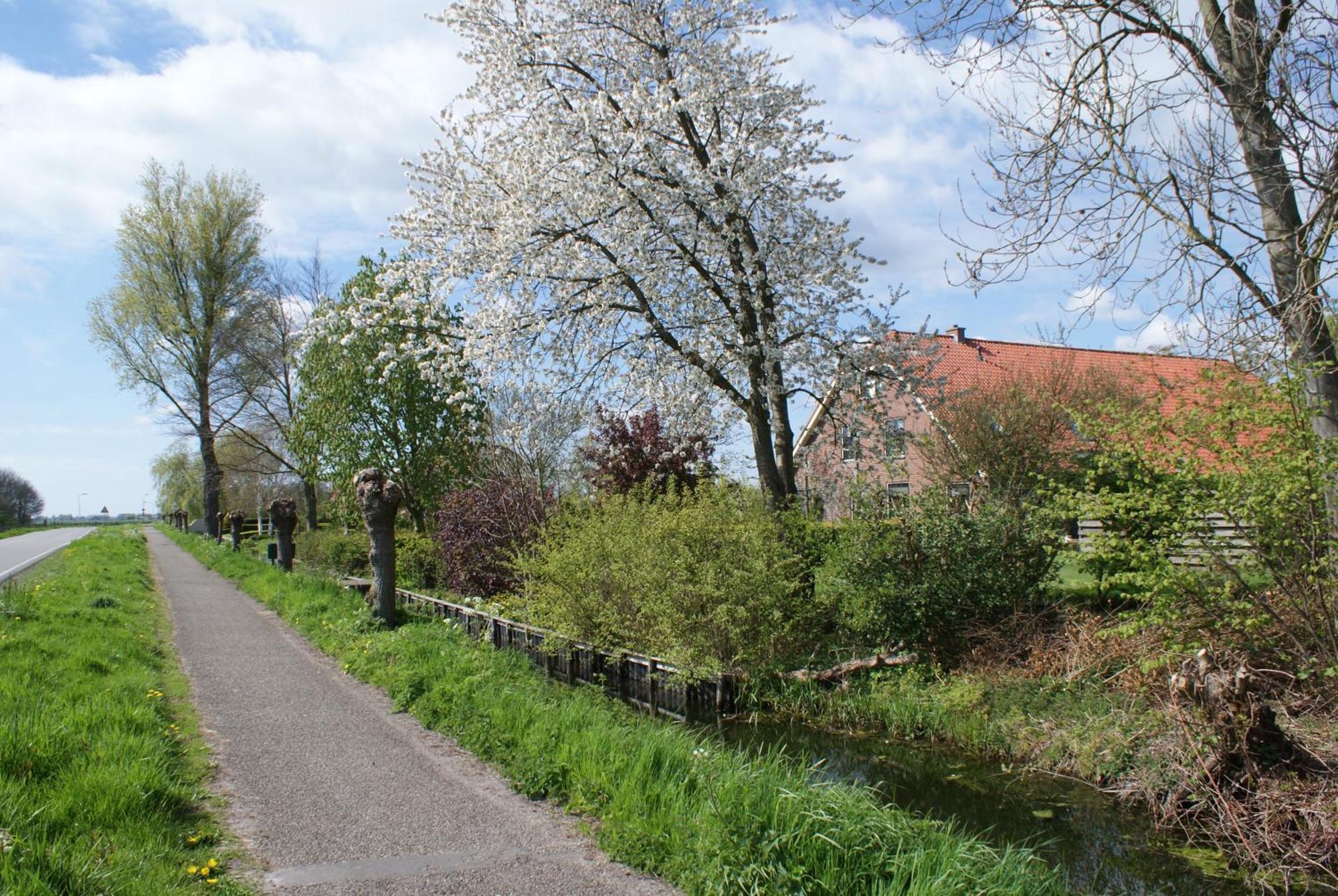 Gastenverblijf De Natureluur Noorden Kültér fotó