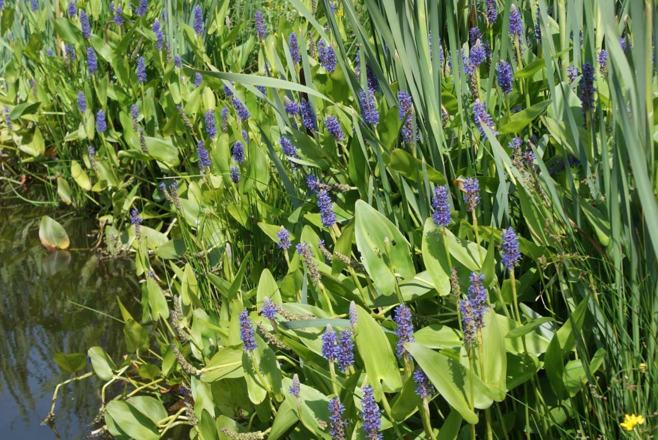 Gastenverblijf De Natureluur Noorden Kültér fotó